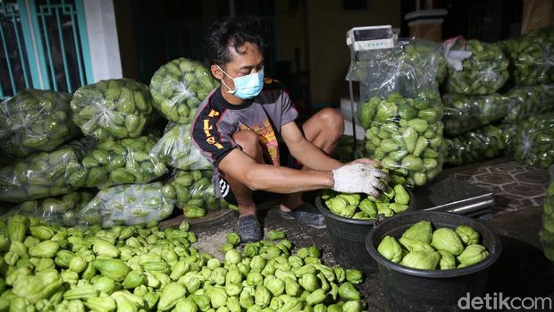 Labu siam atau labu acar kini banyak ditanam oleh petani di Desa Cukanggenteng, Kecamatan Pasir Jambu, kabupaten Bandung, Jawa Barat. Hal itu karena harga labu siam sedang tinggi.