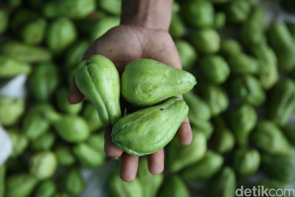 Labu siam atau labu acar kini banyak ditanam oleh petani di Desa Cukanggenteng, Kecamatan Pasir Jambu, kabupaten Bandung, Jawa Barat. Hal itu karena harga labu siam sedang tinggi.