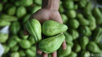 Dede menjelaskan saat ini labu menjadi komoditas dominan yang diproduksi gapoktannya. Dari lahan sekitar 350 hektare, gapoktan yang beranggotakan 2.100 orang ini bisa mengirim rata-rata 20 ton labu setiap harinya ke pasar induk yang ada di Tangerang, Bogor, dan Cirebon.