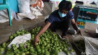 Harga jual untuk labu acar berkisar Rp 2000-Rp 3000 per kilogram.