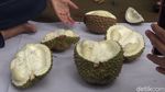 Foto: Bersantap Durian Sambil Menikmati Air Terjun di Banjarnegara