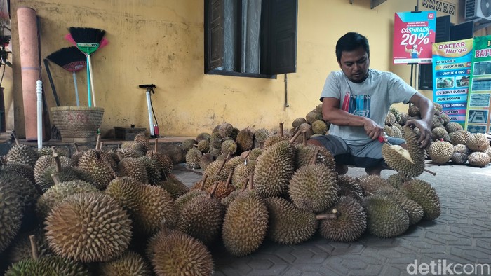 Masa Pandemi Penjualan Durian Sinapeul Majalengka Naik 100 Persen
