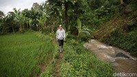 Banyak anak muda yang menganggap kerja jadi petani atau di sektor pertanian itu kotor dan kurang menghasilkan. Hal itu juga yang dirasakan Dede Koswara (32), petani dari Desa Cukanggenteng, Kecamatan Pasir Jambu, Kabupaten Bandung saat awal-awal bergelut di bidang ini. 