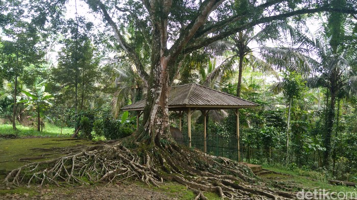 Situs Batu Tulis Cipaku, Purbalingga.