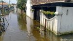 Banjir Masih Rendam Rumah Warga di Pekalongan