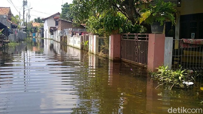 Banjir Masih Rendam Rumah Warga di Pekalongan Banjir masih merendam sejumlah rumah di Kota Pekalongan, Jawa Tengah. Warga terdampak menyebut terjangan banjir berjilid-jilid terjadi sejak akhir Januari 2021.