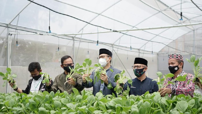 BI Jabar serahkan bantuan teknologi ke sejumlah ponpes untuk bangun ketahanan pangan.