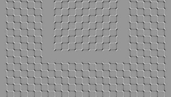 Scroll gambar ini ke atas dan ke bawah dan kotak akan bergerak. Foto: Brightside