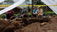 Area kebun strawberry itu pun untuk sementara ditutup guna melindungi situs yang ditemukan dari pihak-pihak tak bertanggung jawab.