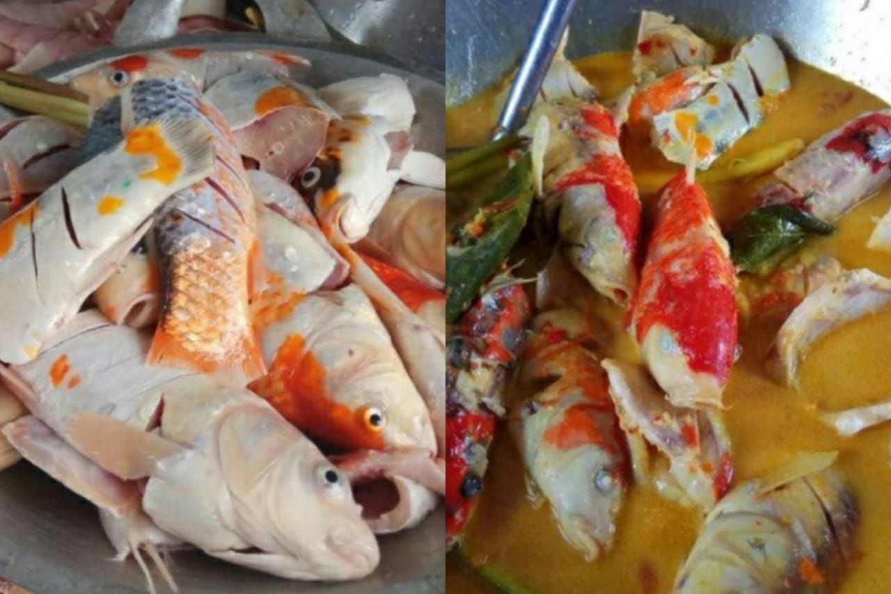 momen makan di tengah banjir
