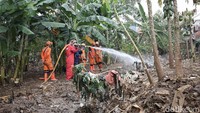 Selain pelataran rumah warga, petugas juga membantu membersihkan kebun warga dari tumpukkan sampah.
