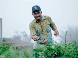 Pembatasan Pupuk Subsidi dan Peluang Pertanian Berkelanjutan