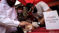 Diketahui, Dinas Ketahanan Pangan, Kelautan dan Pertanian (KPKP) DKI Jakarta mengadakan layanan pemeriksaan kesehatan secara gratis bagi hewan peliharaan yang terdampak banjir.
