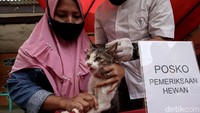 Satu per satu hewan peliharaan milik warga diperiksa oleh petugas.