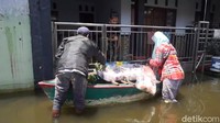 Warga yang bertahan di rumah ini mengandalkan pedagang sayur untuk memenuhi kebutuhan makanan saat banjir merendam rumahnya. Warga mengaku sangat terbantu dengan jualan kelilingnya Hidayah. Robby Bernardi/detikcom