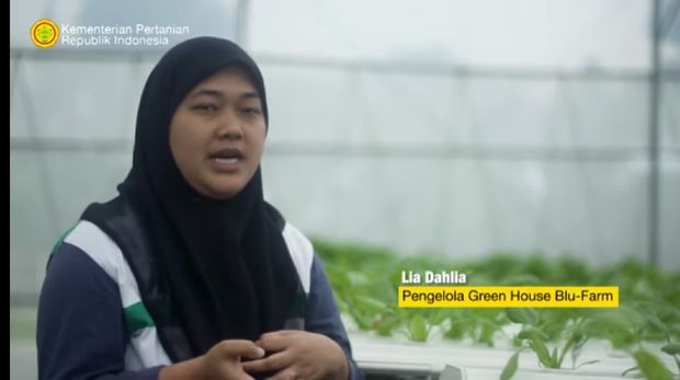 Punya Kebun Hidroponik, Wanita Ini Ajak Para Korban PHK Jadi Petani