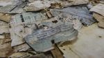 Ada Layanan Restorasi Arsip Gratis untuk Korban Banjir Jakarta
