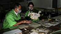 Petugas merestorasi arsip milik warga yang terdampak banjir di Kantor Arsip Nasional Republik Indonesia (ANRI), Cilandak Timur, Jakarta, Senin (22/2/2021). 