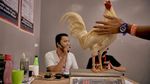 Sabung Ayam Online di Filipina jadi Primadona