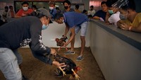 Turnamen e-sabong di Sta Cruz, Laguna, diadakan selama enam hari. 