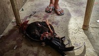 Ketika ekonomi Filipina merosot akibat pandemi, banyak orang yang memasang taruhan secara online untuk memenangkan perlombaan.
