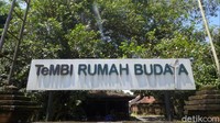 Selain tongseng emprit, di warung makan tersebut juga menyediakan menu lain seperti buntil, brongkos, gudeg hingga tupai bacem. Menyoal harga tongseng emprit hampir sama dengan harga tongseng kambing. Foto: Pradito Rida Pertana/detikcom
