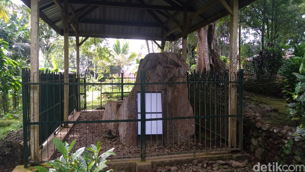 Keunikan batu itu adalah sebaris kalimat yang terukir diatas batu dengan aksara pallawa. Saat ini, tulisan sudah kabur dan hampir tak terlihat karena proses alam, namun dulu tulisan itu terbaca jelas. (Foto: Vandi Romadhon/detikcom) Keunikan batu itu adalah sebaris kalimat yang terukir diatas batu dengan aksara pallawa. Saat ini, tulisan sudah kabur dan hampir tak terlihat karena proses alam, namun dulu tulisan itu terbaca jelas. (Foto: Vandi Romadhon/detikcom)