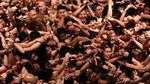 Foto: Hadaka Matsuri, Festival Pria Telanjang Jepang