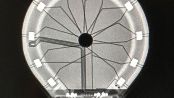 X-Ray lampu bolm. Foto: doc Bored Panda