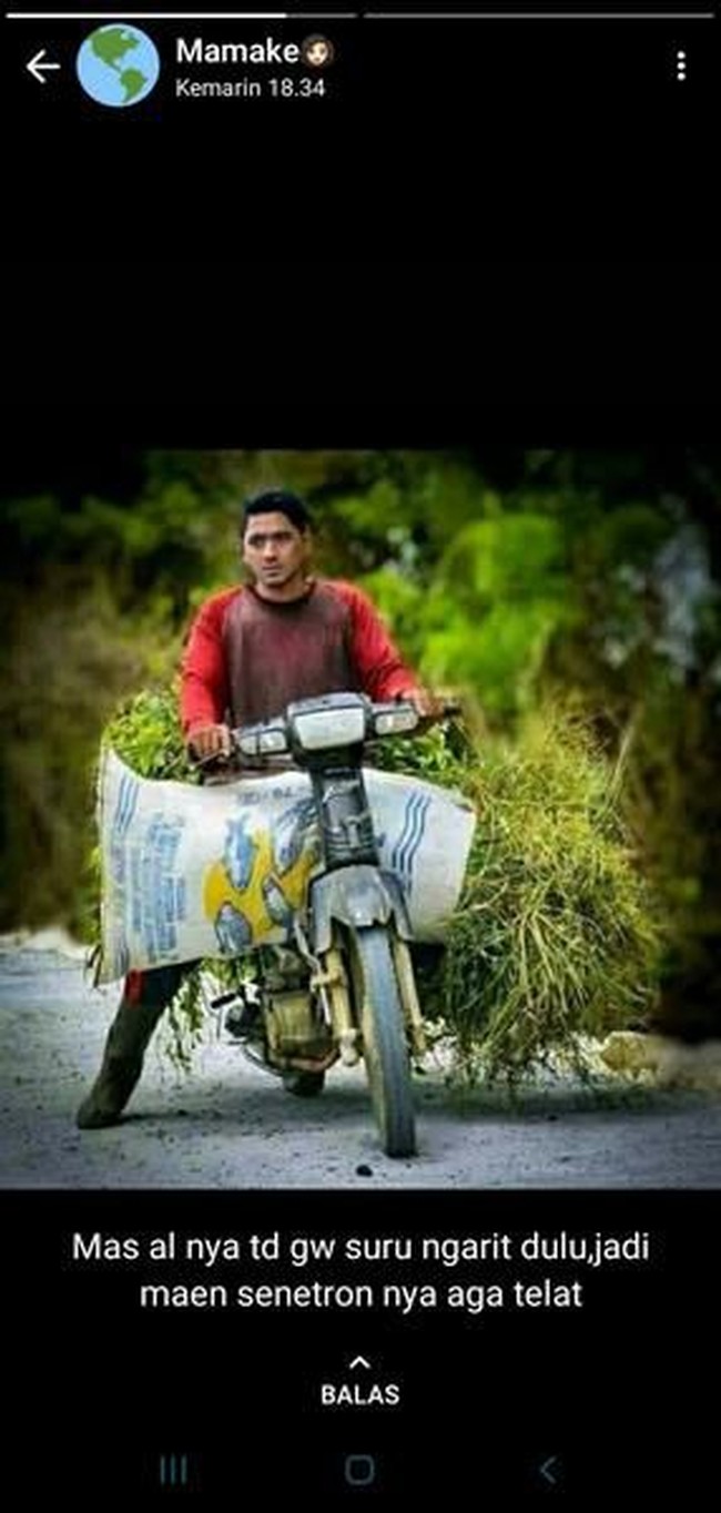 Begini jadinya kalau ibu-ibu sudah halu akibat terkena virus ikatan cinta. Ada-ada aja masa mas aldebaran disuruh ngarit dulu sih.. Foto: Twitter/@txtdrstoryWA