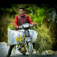 Begini jadinya kalau ibu-ibu sudah halu akibat terkena virus ikatan cinta. Ada-ada aja masa mas aldebaran disuruh ngarit dulu sih.. Foto: Twitter/@txtdrstoryWA