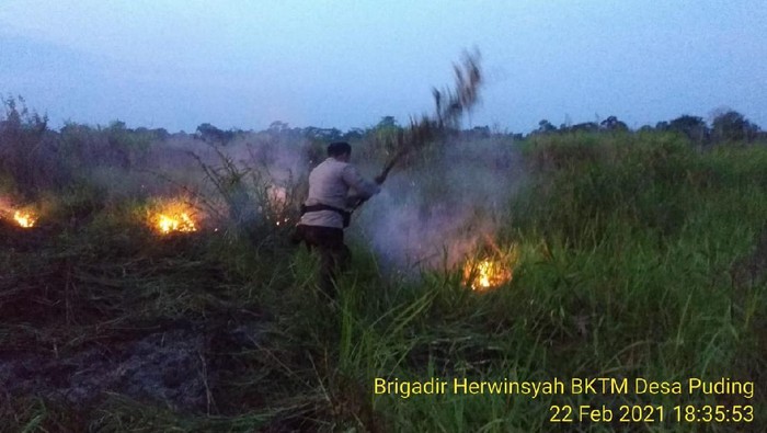 Kebakaran hutan dan lahan di Jambi (dok Polres Muaro Jambi)
