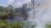 Proses pemadaman sudah dilakukan sejak 13 Februari silam dan masih belum bisa ditangani, karena lokasinya yang berpindah-pindah. Catatan kita, ada empat lokasi yang terbakar, kata Kalaks BPBD Agam, Muhammad Lufti (dok BPBD Agam)