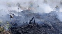 Menurut Lufti, lahan gambut yang terbakar tersebut berada di Jorong Aia Maruok, Nagari Persiapan Durian Kapeh Darusalam, Kecamatan Tanjung Mutiara (dok BPBD Agam)