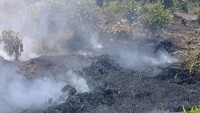 Kobaran api sulit dijinakkan, karena kondisi cuaca ekstrim dan panas terik (dok BPBD Agam)