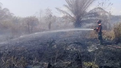Potret Lahan Gambut di Agam Sumbar sudah 10 Hari Terbakar