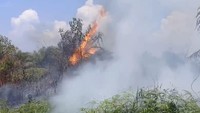 Hingga kini, pihak BPBD dibantu masyarakat setempat masih berupaya memadamkan kobaran api yang terus menyala. Pemadaman terkendala lokasi tak bisa diakses kendaraan roda empat dan sumber air yang sulit (dok BPBD Agam)