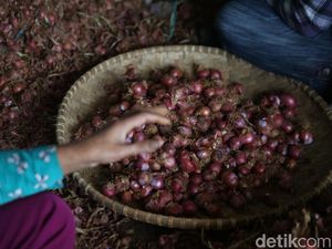 Harga Cabai Rawit Turun, Eh Bawang Putih dan Merah Malah Naik