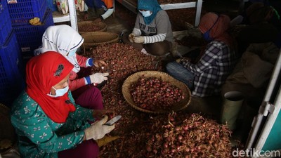 Pengupas Bawang di Bandung Dibayar Rp 40 Ribu Per Hari