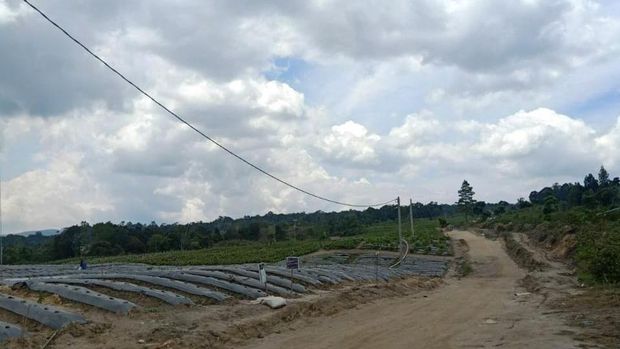 PLN pastikan pasokan listrik Food Estate di sumut terpenuhi. (Dok PLN.)