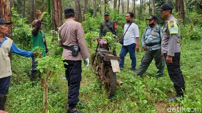 Seorang warga Banyuwangi dilaporkan hilang di hutan. Korban hilang saat mencari bibit porang.