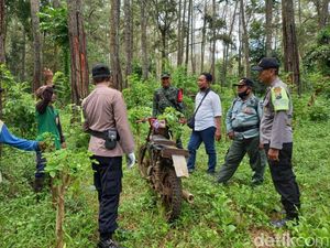 Pria di Banyuwangi Hilang Saat Cari Bibit Porang dalam Hutan