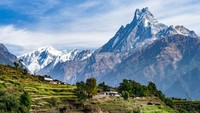 Machhapuchhare adalah gunung setinggi 6.993 meter di Nepal. (Getty Images/iStockphoto)