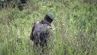 Dalam sebuah pernyataan yang dirilis oleh pemerintah Italia, para korban yang tewas diidentifikasi sebagai Luca Attanasio (43) atau sang Dubes, seorang polisi militer Italia bernama Vittorio Iacovacci (30) dan seorang supir asal Kongo, yang namanya belum dirilis. Lebih lanjut, sang supir diketahui bekerja untuk FWP, dan beberapa penumpang lainnya terluka.  