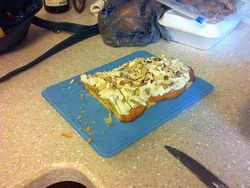 Aneka Foto Gagap Teknologi Level Akut