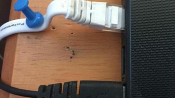 Koneksi internetnya buruk, ternyata ini penyebabnya. Foto: SmoothToast via pleated-jeans.com