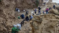 Ratusan sukarelawan mengambil bagian dalam operasi pembersihan garis pantai Israel dari tumpahan minyak di laut Mediterania di cagar alam Gador, Israel.  