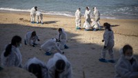 Meskipun sudah ditutup, relawan masih diperbolehkan masuk ke area pesisir pantai. Namun hanya relawan yang terdaftar dalam Otoritas Taman dan Alam Israel dan sudah menjalani pelatihan khusus. Selain itu, militer juga akan diterjunkan di pesisir Mediterania untuk membantu pembersihan pantai.   