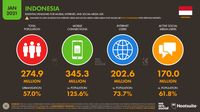 Pengguna Internet Indonesia Tembus 202,6 Juta