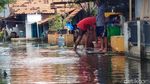 Foto: Kondisi Terkini Banjir di Pekalongan yang Mulai Surut